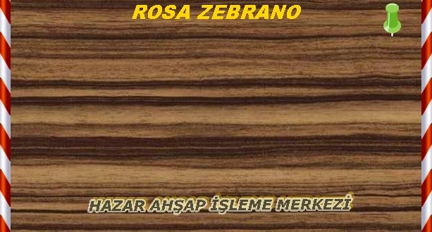 Rose Zebrano