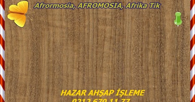 Afrormosia-Gold Teak ALTIN RENGİNDE, (Pericopsis Elata),Afrormosia, AFROMOSIA, Afrika Tik,Kokrodua (Gana), Assamela (Fildişi Sahilleri).