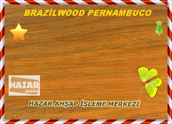 brazilwood-kızılağaç-1