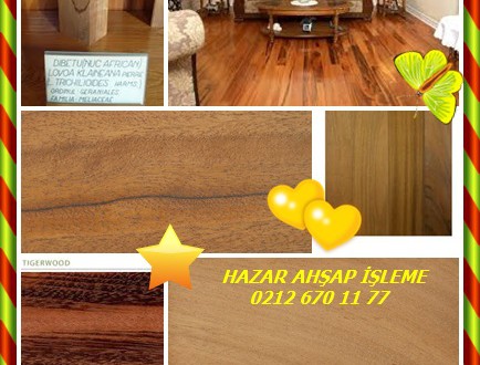 Afrıcan Walnut,Ceviz,Afrika ceviz, (Lovoa trichiliodes), Alona ahşap, Anamenila, Apopo, Benin ceviz, Bibolo, Bombulu, Congowood, Dibetou, Dubin biri, Embero, Eyan, Gana ceviz, Lifaki muindo, Lovoa, Lovoa ahşap, Mpengwa, Nijeryalı altın ceviz, Nijeryalı ceviz, Nivero, Noy