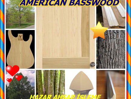 Basswood Amerikan Ihlamuru, (Tilia americana),Amerikan Linden,Amerikan basswood,Amerikan kireç,   ,Amerikan ıhlamur,beetree,Carolina basswood ,Ihlamur , Meksika basswood , Beyaz basswood ,amerikanische Linde ,Tilia, cyrimbo , flor de tila ,Sirima ,tirimo ,tzirimo ,svartlind