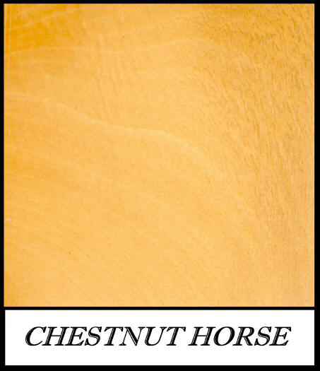 Chestnut horse - Aesculus Hippocastanum