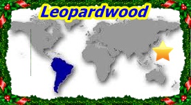 Leopardwood1