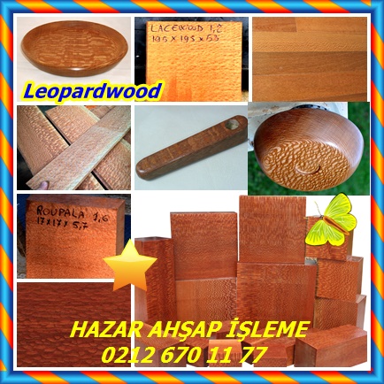 Leopardwood3