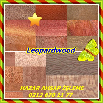 Leopardwood6