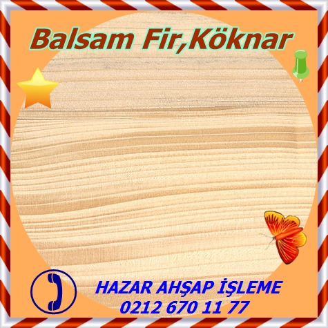 balsam-fir