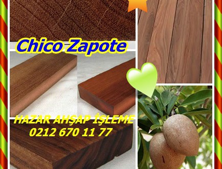 Chico Zapote, Zapote, Sapodilla,(Manilkara zapota),Sakız,Chiku,naseberry,sapodilla,sapote	,Bengal,সপেটা ,Sapeta,	人心 果,Sapotillapuu,lucume,sapote,Breiapfelbaum,चीकू ,chikoo,Marathi,चिकू ,Chiku,	चिक्कू ,chikku,sapota,MaMeY	,Nispero,Zapote,Chappotta,சீமையிலுப்பை ,Chimaiyiluppai,Telugu,సీమ ఇప్పచెట్టు ,Sima Ippacettu,Chikoo, چیکو,