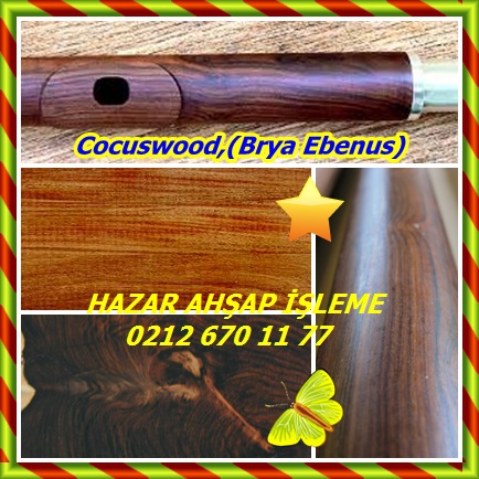 catsCocuswood,(Brya Ebenus)22