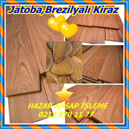 catsJatoba,Brezilyalı Kiraz64464