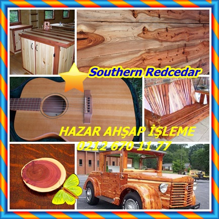 catsSouthern Redcedar11