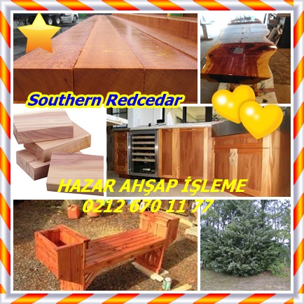 catsSouthern Redcedar22