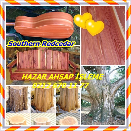 catsSouthern Redcedar333