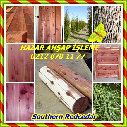 catsSouthern Redcedar4343