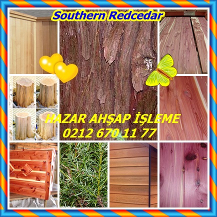 catsSouthern Redcedar45322