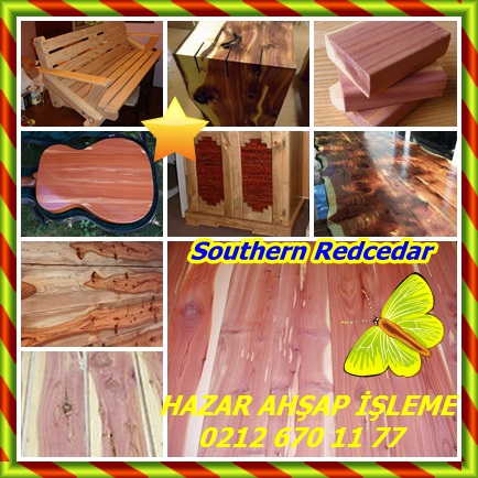 catsSouthern Redcedar89