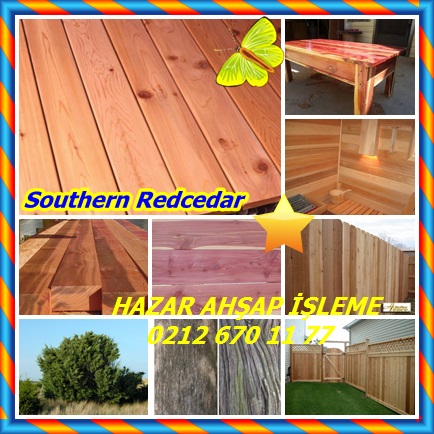 catsSouthern Redcedar9099