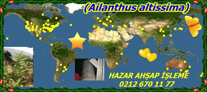 map_of_Ailanthus_altissima