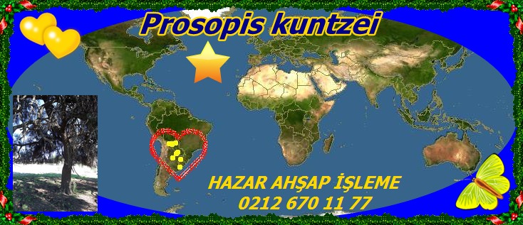 map_of_Prosopis_kuntzei42