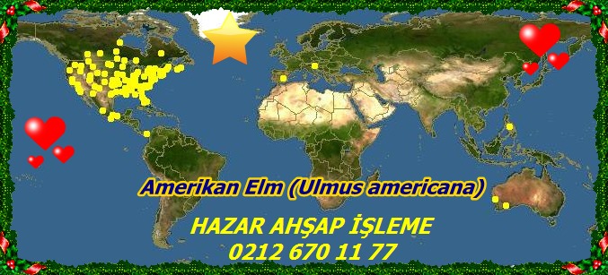 map_of_Ulmus_americana