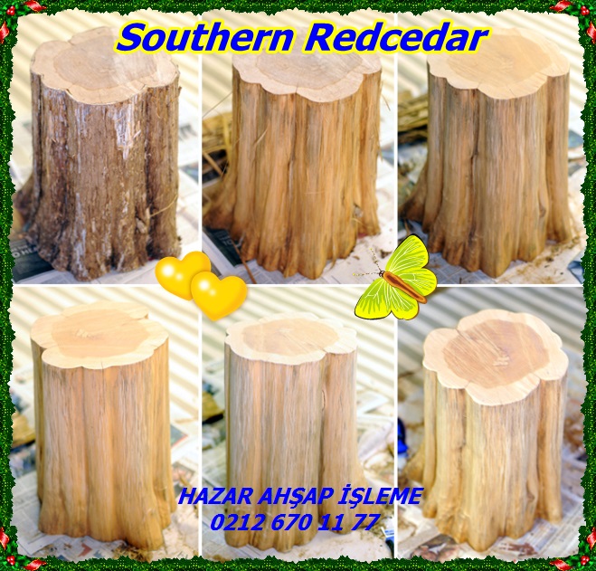 remove-barkSouthern Redcedar323