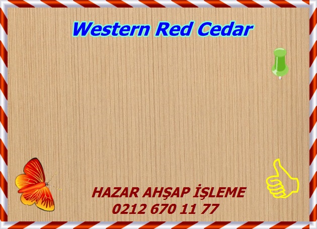 western-red-cedar