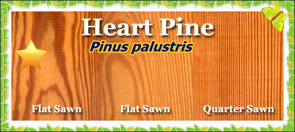 yellow_heart_pine