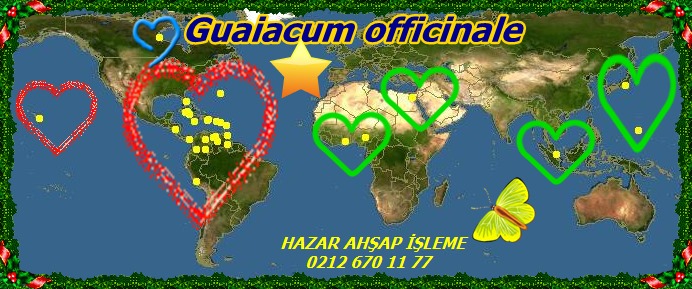 map_of_Guaiacum_officinale
