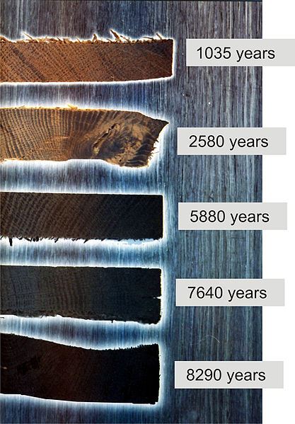 Morta_color_based_on_age