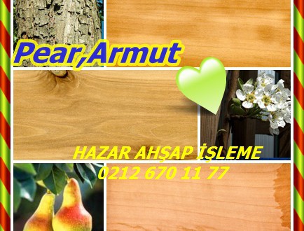 Pear,Armut,Swiss Pear,Pyrus communis,Ahlat