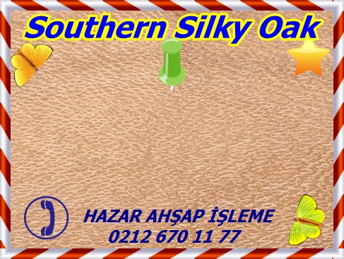 southerSouthern Silky Oak