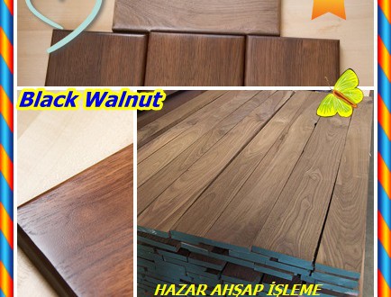 Black Walnut,Siyah Ceviz ,(Juglans nigra) ,Noyer noir