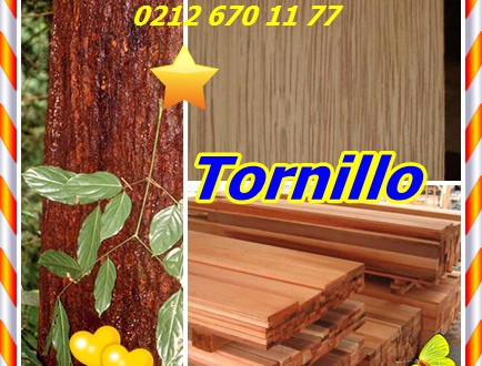 Tornillo ,(Cedrelinga catenaeformis), cedrorana, iacaica, Paric, yacayac, donceder (Surinam)