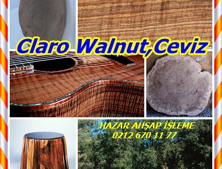 Claro Walnut,Ceviz ,(Juglans hindsii),Kaliforniya Siyah Ceviz, Kuzey Kaliforniya Ceviz ,Hind Kara Ceviz, Kuzey Kaliforniya ceviz, Paradox hibrid ceviz