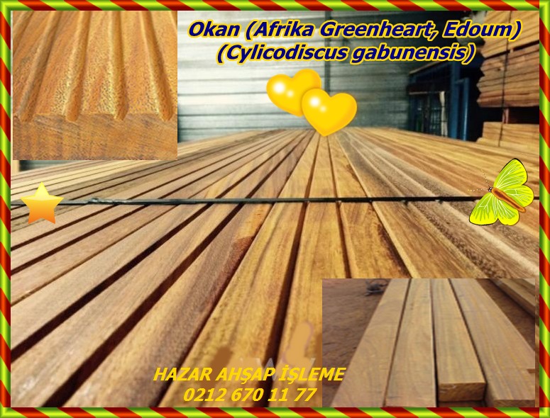 Okan-(Afrika-Greenheart12
